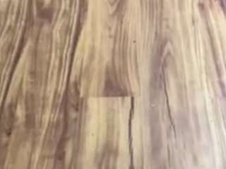 shoutex111 webcam model stream image