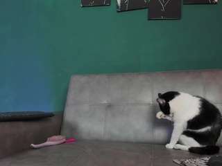 karolsweet webcam model stream image