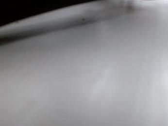 krystalsyxx webcam chaturbate model stream image