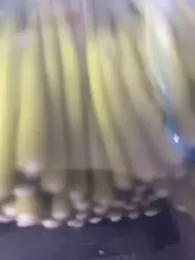 Ghost-Zero webcam model stream image