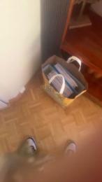 arthur895 webcam model stream image