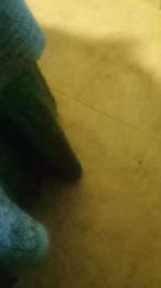 Tumorvosa webcam cam4 model stream image