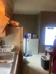 TurtleLady420 webcam model stream image