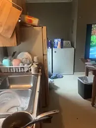 TurtleLady420 webcam model stream image