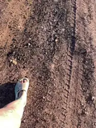 1-800-FUCKYOU webcam model stream image