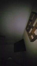 TDiddy44 webcam model stream image