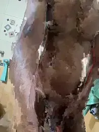 starboyyy00 webcam model stream image