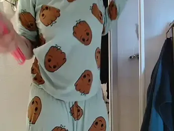 Lauzo webcam model stream image