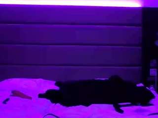 majorredeye40 webcam model stream image