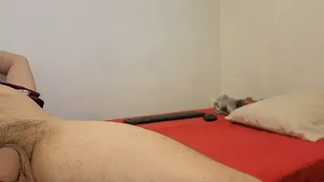 barbie_brunette webcam stripchat model stream image