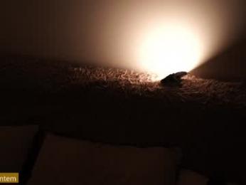 ms_seductive webcam chaturbate model stream image