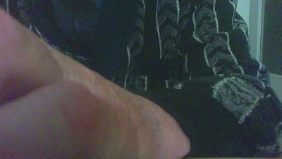 laparki webcam model stream image