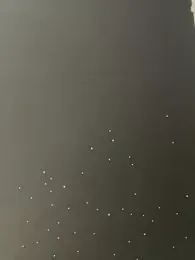 Just-Lilly webcam stripchat model stream image