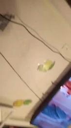 Miss_sexyebony webcam model stream image