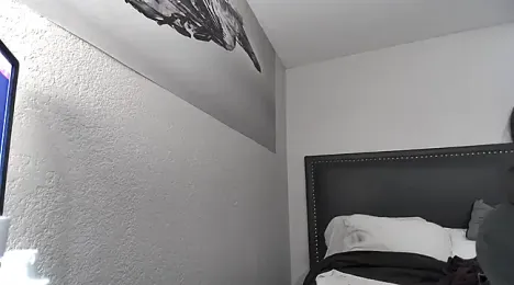 Phattpinktaco webcam model stream image