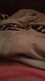 davidof3127 webcam cam4 model stream image