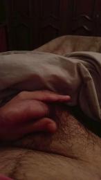 davidof3127 webcam cam4 model stream image