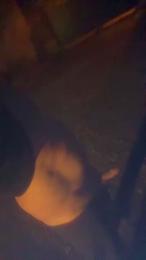 _JMML_ webcam model stream image