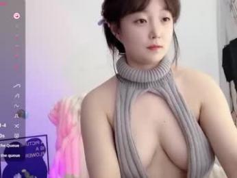 _flipped_ webcam model stream image