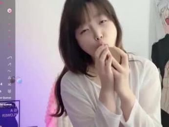 _flipped_ webcam model stream image