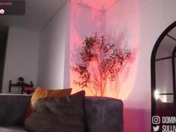 dominic_sullivan1 webcam chaturbate model stream image