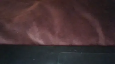 Icedonut webcam model stream image