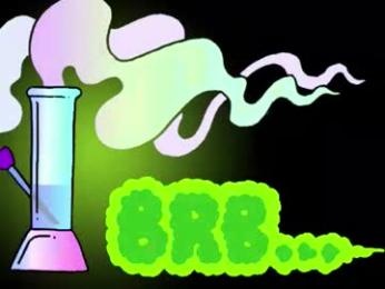 palmanford webcam model stream image