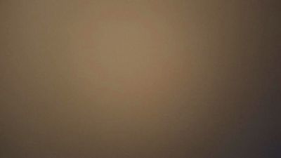 Pedritopalote webcam model stream image