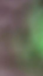 Michback webcam model stream image