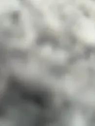 Xixi-Gala webcam model stream image