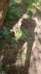 Jop666 webcam cam4 model stream image