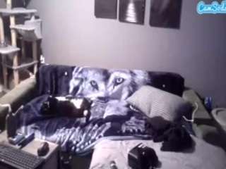 foxdenz6941 webcam model stream image