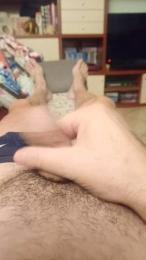 Plinplinn webcam model stream image