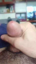 Plinplinn webcam model stream image