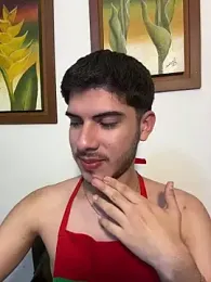 ApoloGray__ webcam model stream image