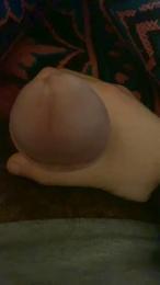 cosmo831 webcam model stream image