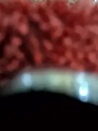 starvingo2002 webcam model stream image