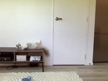 mollyy2006 webcam chaturbate model stream image