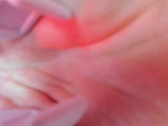 couple-tats webcam model stream image