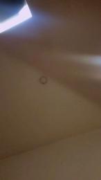 Roxannepiggy webcam cam4 model stream image