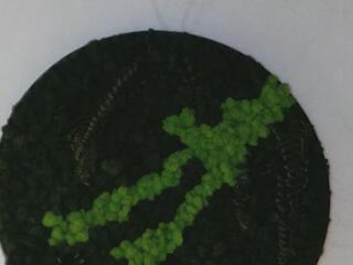 Maia Rose webcam model stream image