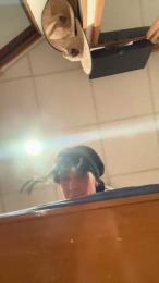 Dylan_lee webcam model stream image