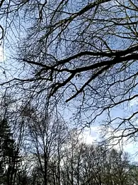 Nikeyone2 webcam stripchat model stream image