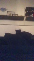 Alex77777777 webcam cam4 model stream image