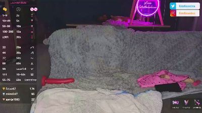 Estellekokine webcam model stream image