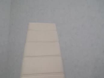 arinamir webcam model stream image