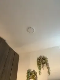 valeria2019hot webcam model stream image