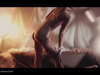 WebCora webcam model stream image