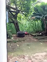 venusandzeus@xh webcam model stream image