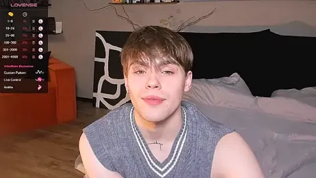 simonvnl webcam model stream image